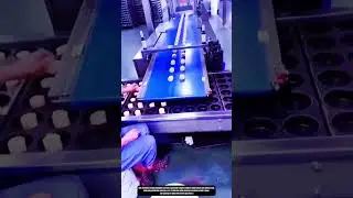 Automated Dough Portioning and Tray Filling Conveyor for Bakery Production
