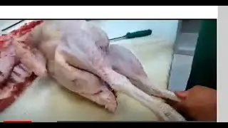 despiece de pavo