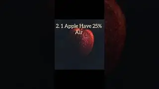 10 Interesting Facts About Apples🍎🍎