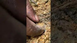 Unveiling Hidden Treasures Gem Mining Adventure with Upcycled ⛏️💎#gems #gold #crystals #rockhounding