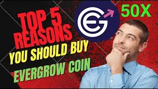 Top 5 Reasons You Should Buy EverGrow Coin for Early Retirement
