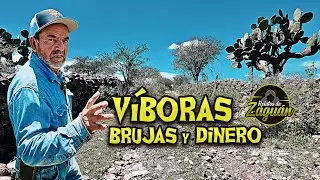 UNA BRUJA me ARAÑABA LOS PIES, LA AHUYENTARON CON REZOS !!