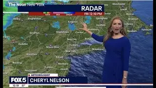 Meteorologist Cheryl Nelson - Weather & Correspondent Reel