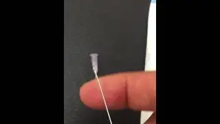 Malleable Disposable Animal Feeding / Oral Gavage Needles