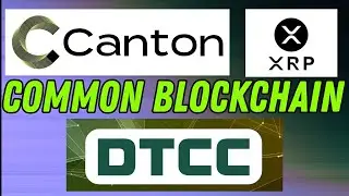 XRPL & CANTON NETWORK COMMON BLOCKCHAIN CONFIRMED