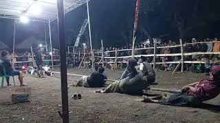 Pemuda 2.000 🆚️ Tandek ruwet 