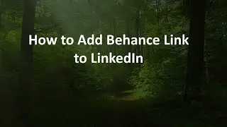 How to Add Behance Link to LinkedIn