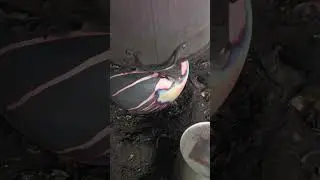 Catching a rainbow with time. Follow for more raku.