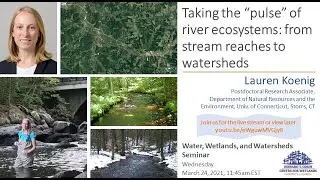 W3seminar: Taking the &ldquo;pulse&rdquo; of river ecosystems: from stream reaches to watersheds