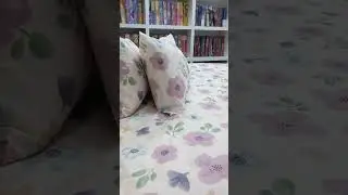 100% Cotton Bedsheet - White & Purple Floral with Green Leafs