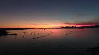 Drone flight sunset - Kitsilano Beach