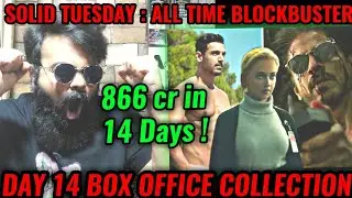 PATHAAN DAY 14 BOX OFFICE COLLECTION | SHAH RUKH KHAN | SOLID HOLD | ALL TIME BLOCKBUSTER