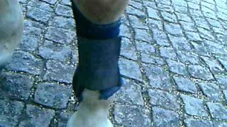 Richtiges Anlegen von Gamaschen