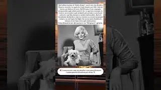 🐶 Maf, il cane fedele che consolava Marilyn Monroe