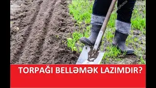 TORPAĞI NƏ VAXT BELLƏMƏK LAZIMDIR?