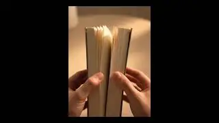 Deep Focus Page-Flipping ASMR | 3 Hours of Calming, Gentle Book Sounds