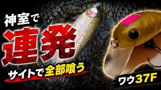 爆笑！神室フィッシャーマンズロッジでワウが無双する！【エリアトラウト】
