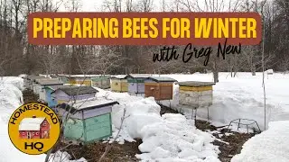 Winter Beekeeping Tips: How to Keep Your Bees Alive in Cold Weather
