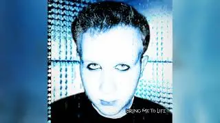 Evanescence - Bring Me To Life (cover)
