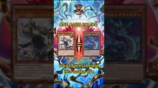 How white forest bridge into snake-eye #yugioh #tcg #duellinks #yugiohcards #whiteforest #snakeeyes