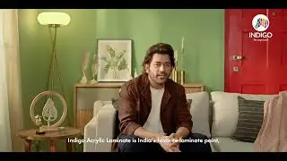 Best Exterior and Interior Paint for walls | MSD&rsquo;s Top Pick | Indigo Paints