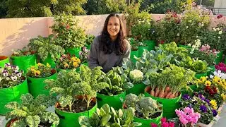 Terrace Garden Tour 2025 🌿 | Full Plant Growth Update | Organic Vegetable terrace tour🪴
