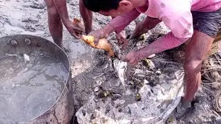 Fishing video ll বিলের মধ্যে জাল মেরে প্রচুর মাছ ধরলাম ll Fishing by hand ll Hook fishing ll Fishing