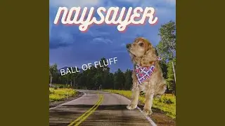 BALL OF FLUFF.