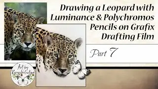 Drawing a Leopard with Colored Pencils on Drafting Film (Part 7)
