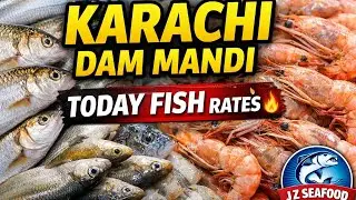 Today Karachi Fish Harbour Dam Mandi Rates 🔥 Dama, Ghissar, Amrus & Small Fish | Prawns Price Update