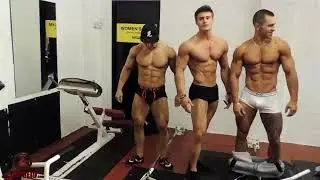 Aesthetic crew Jeff seid alon gabay Chris lavado fitness motivaci&oacute;n gym