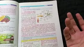 Reflex Action | Science Class 8 in Sindhi | Ch# 1| Difference b/w  Voluntary and Involuntary Action