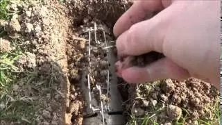 How NOT to set a Duffus Mole trap