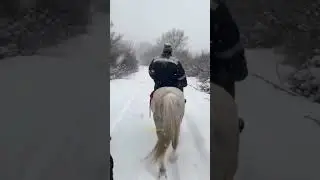 &ldquo;Centaur Caught on Camera?! 😱🏹&rdquo; #centaur, #mythicalcreature, #trending