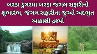બરડા ડુંગરના જંગલ સફારીના અદભુત દ્ર્શ્યો ll barda wildlife sanctuary ll barda hills ll bardo dungar