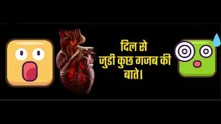 दिल से जुड़े कुछ रोचक तथ्य /human heart related facts/ facts about heart