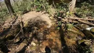 Flag Rock Trails - Norton, VA