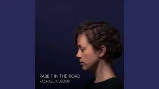 Rabbit in the Road