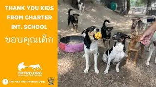 Recycling Program Done By Kids Feeds 800 Dogs At TMTRD!