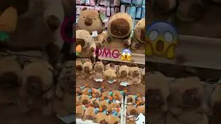 CapybaraWorld 🤩🤩🤩#lovely #cute #gifts #amazing #buddy #capivara #kapibara 🦫🦫🦫