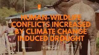 Human-Wildlife Conflicts Increased By Climate Change Induced Drought | Mini Documentary