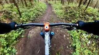 MTB Enduro - coffee trail