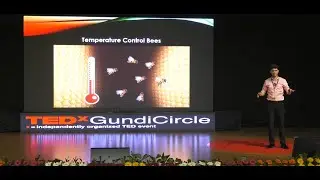 Management Lessons from the Animal Kingdom | Sri. Mrunal Bankapur | TEDxGundiCircle