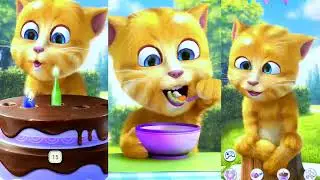My Talking Ginger 2 Funny Gameplay 