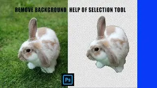 Remove background  help of selction tool Adobe photoshop  (Quick Selection Tool Tutorial) 2020