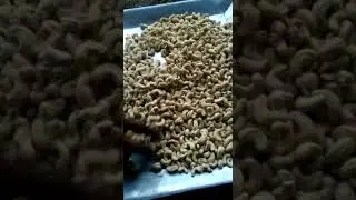 SW Imported Cashew Kernels