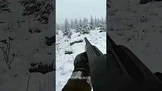 🐇 Epic Rabbit Hunting Adventure! #shorts #hunting
