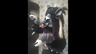 Gray Dragonwolf fursuit demonstration 2