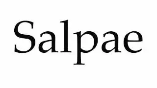 How to Pronounce Salpae