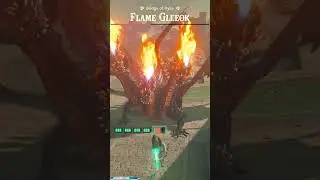 Defeat a Gleeok in 58 Seconds Zelda TotK